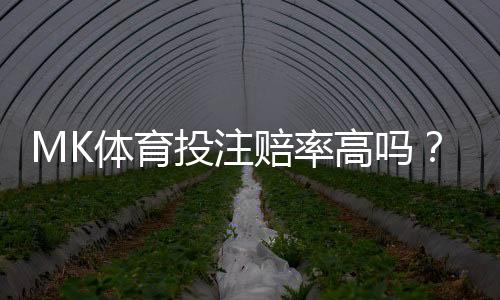 MK体育投注赔率高吗？深度解析平台优势与实战技巧