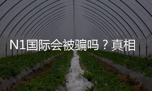 N1国际会被骗吗？真相揭晓与防骗实用攻略