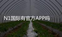 N1国际有官方APP吗？下载、安装与真假辨别全面解析