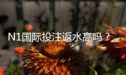 N1国际投注返水高吗？详解返水比例、计算方法与实用省钱技巧