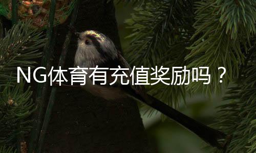 NG体育有充值奖励吗？充值优惠种类、领取条件与实操攻略