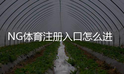 NG体育注册入口怎么进？最新版注册流程、注意事项与新手指南
