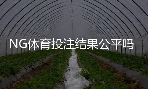 NG体育投注结果公平吗？公正性深度评估、识别异常与维权指南