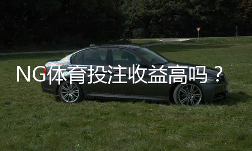 NG体育投注收益高吗？真实收益评估与新手避坑指南
