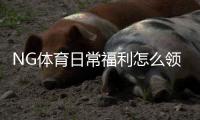NG体育日常福利怎么领取？新手必看领取攻略与注意事项