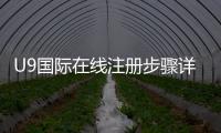 U9国际在线注册步骤详解：手机邮箱快速注册、实名认证与常见问题解决