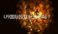 U9国际投注玩法多吗？玩法种类、规则与新手投注技巧