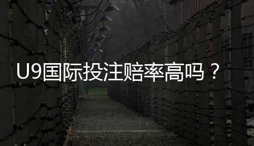 U9国际投注赔率高吗？真相解析、风险识别与实用投注技巧
