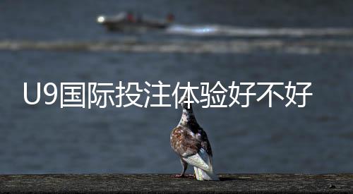 U9国际投注体验好不好?真实测评、玩法亮点与风险解析