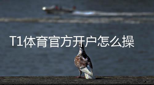 T1体育官方开户怎么操作？新手注册步骤、实名认证与安全注意事项详解