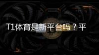 T1体育是新平台吗？平台背景、功能与安全性全面解析
