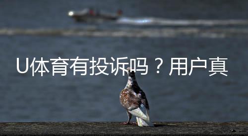 U体育有投诉吗？用户真实反馈与投诉处理流程解析