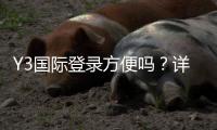 Y3国际登录方便吗？详细登录流程、常见问题及快速解决办法