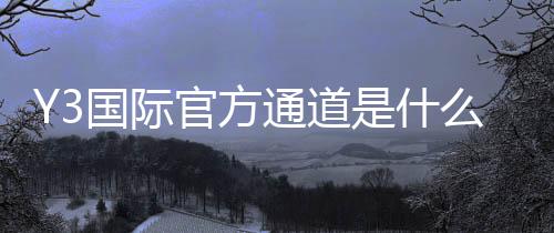 Y3国际官方通道是什么？官方入口、注册登录与安全使用全攻略