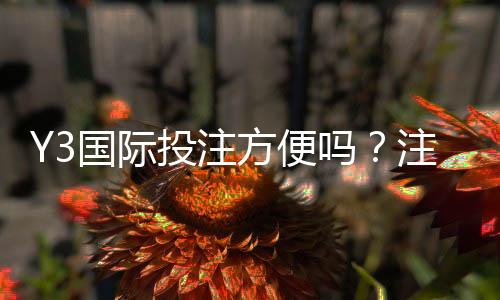 Y3国际投注方便吗?注册、充值、投注与提现全流程详解与安全评测
