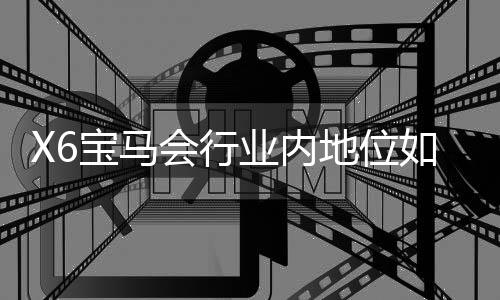 X6宝马会行业内地位如何？深度解析其市场影响力与玩家口碑