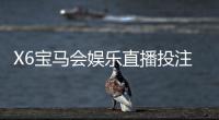 X6宝马会娱乐直播投注：揭秘高胜率玩家的实战技巧与策略