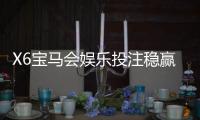 X6宝马会娱乐投注稳赢吗？资深玩家揭秘稳赢策略与风险控制