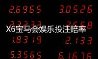 X6宝马会娱乐投注赔率高吗？深度解析平台优势与玩法攻略