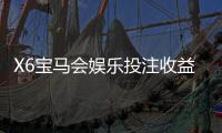 X6宝马会娱乐投注收益高吗？资深玩家揭秘高回报技巧与实战分析