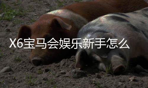 X6宝马会娱乐新手怎么玩？从注册到赢钱的完整入门指南