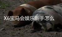 X6宝马会娱乐新手怎么玩？从注册到赢钱的完整入门指南