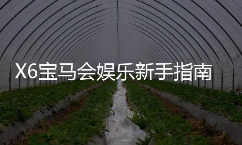 X6宝马会娱乐新手指南：从注册到畅玩的完整攻略