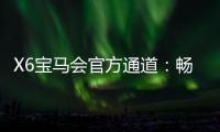 X6宝马会官方通道：畅享豪华电游体验的终极选择