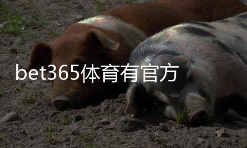 bet365体育有官方APP吗？官方客户端iOSAndroid下载、安装与安全性全解析