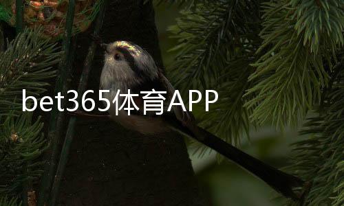 bet365体育APP怎么样？全面评测：下载、功能、玩法、安全与新手指南