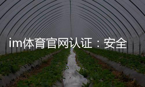 im体育官网认证：安全可靠的平台选择与玩法指南