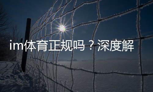 im体育正规吗？深度解析平台安全性与玩家真实体验