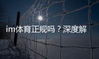 im体育正规吗？深度解析平台安全性与玩家真实体验