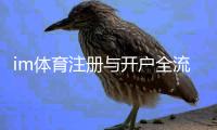 im体育注册与开户全流程：新手必看的详细步骤指南