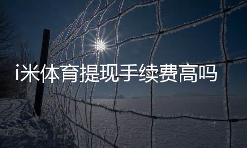 i米体育提现手续费高吗？资深玩家解析费用详情与省费技巧