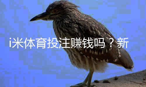 i米体育投注赚钱吗?新手必看平台评测、收益与风险一文看懂